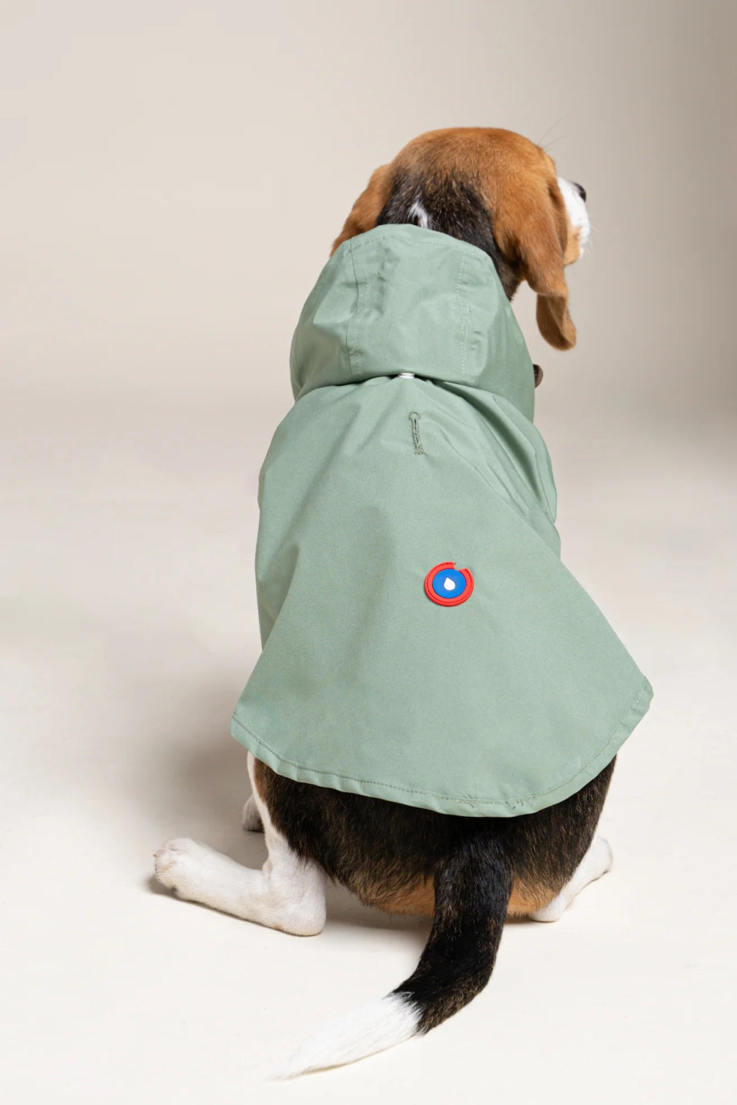 Impermeable Boulogne pour chien -Flotte #couleur_vert-sauge