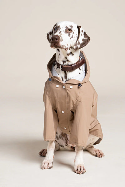 Impermeable Boulogne pour chien -Flotte #couleur_sahara