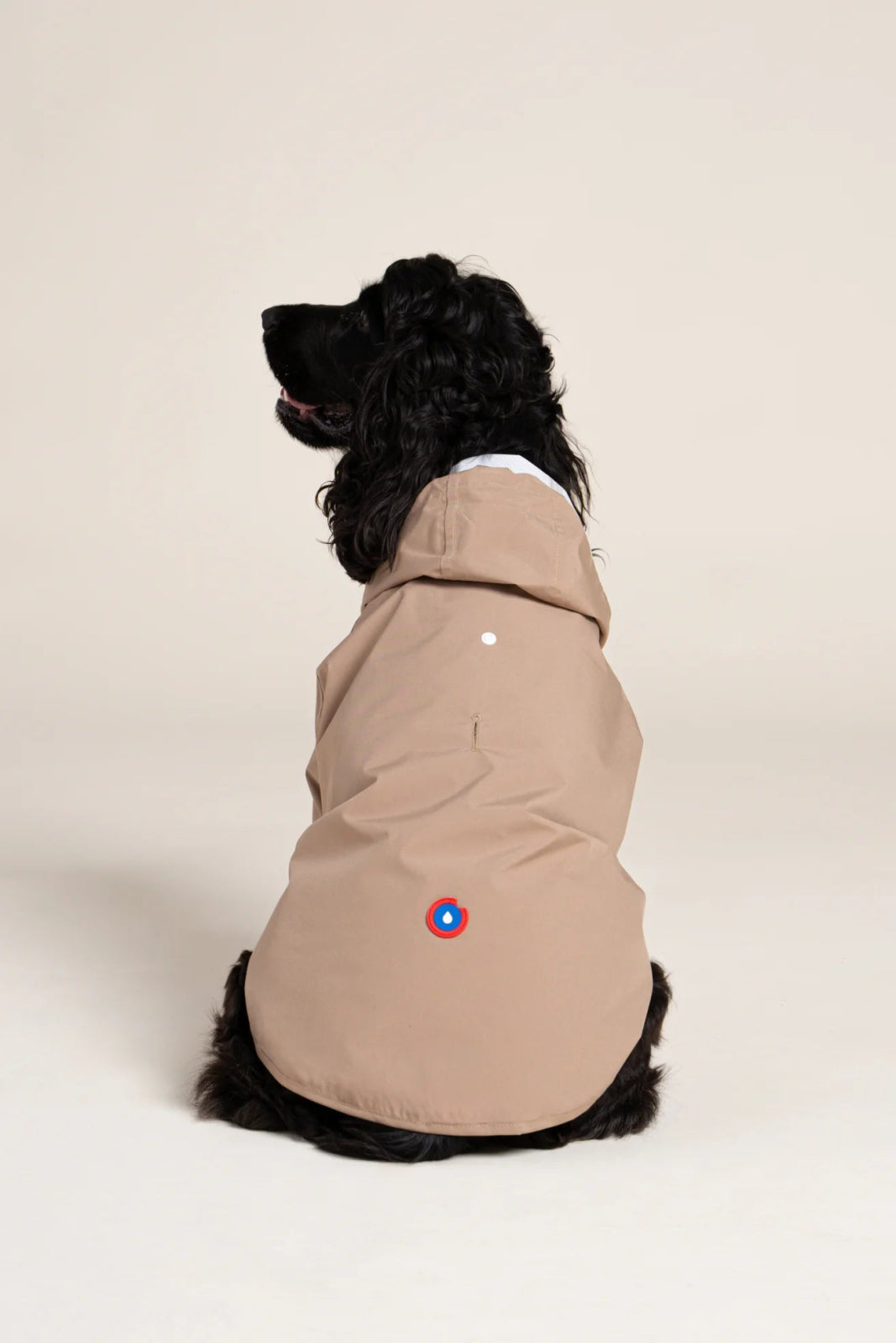 Impermeable Boulogne pour chien -Flotte #couleur_sahara