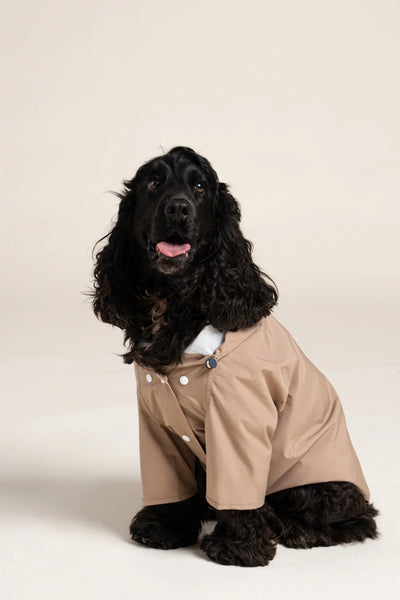 Impermeable Boulogne pour chien -Flotte #couleur_sahara