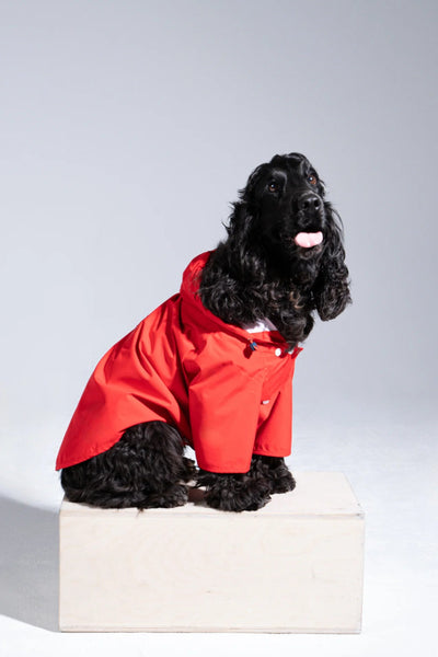 Impermeable Boulogne pour chien -Flotte #couleur_rouge