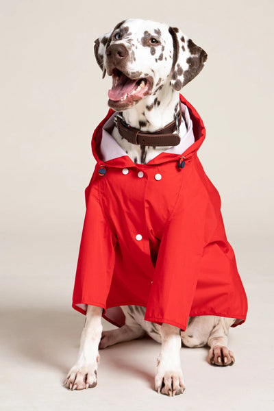 Impermeable Boulogne pour chien -Flotte #couleur_rouge