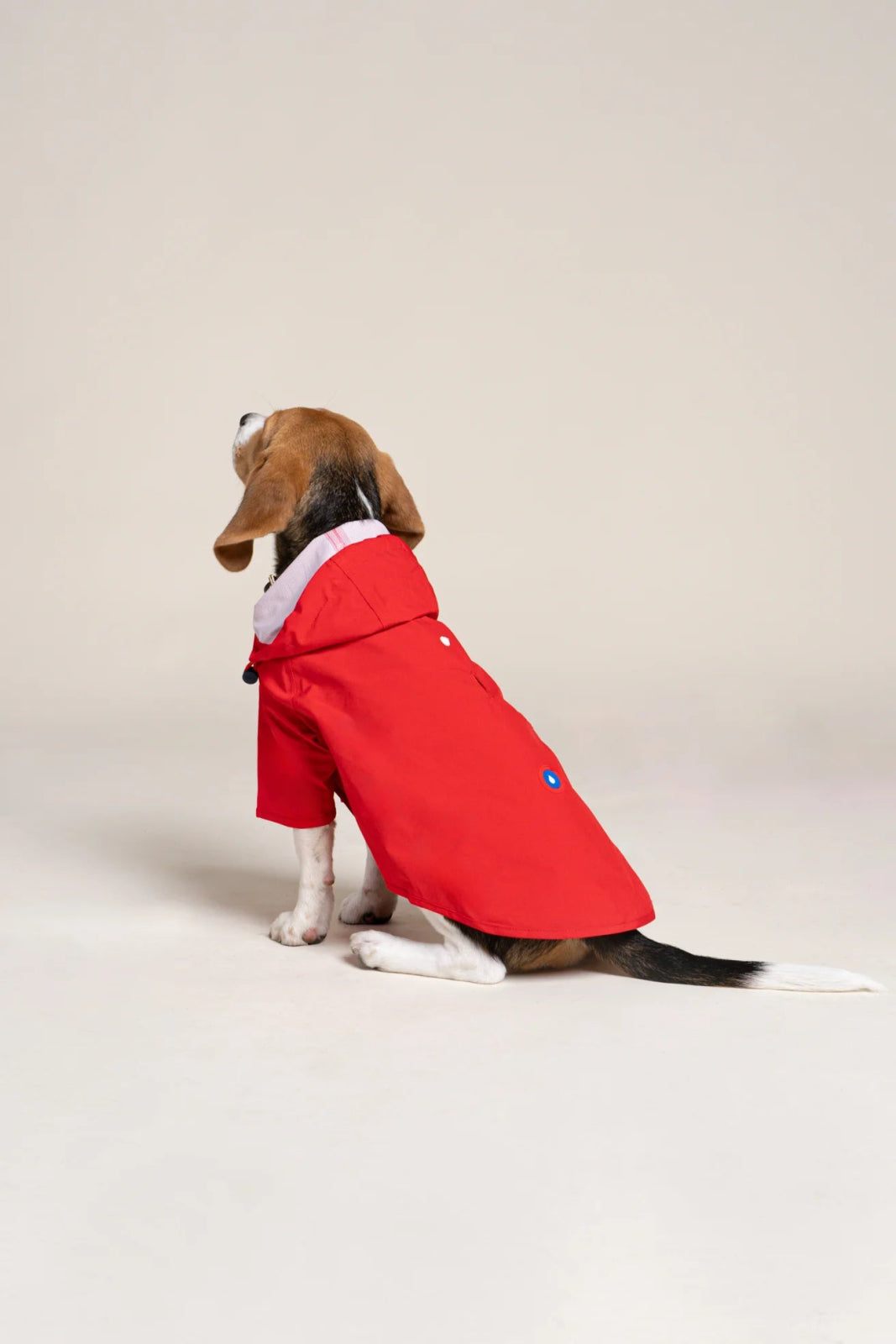 Impermeable Boulogne pour chien -Flotte #couleur_rouge