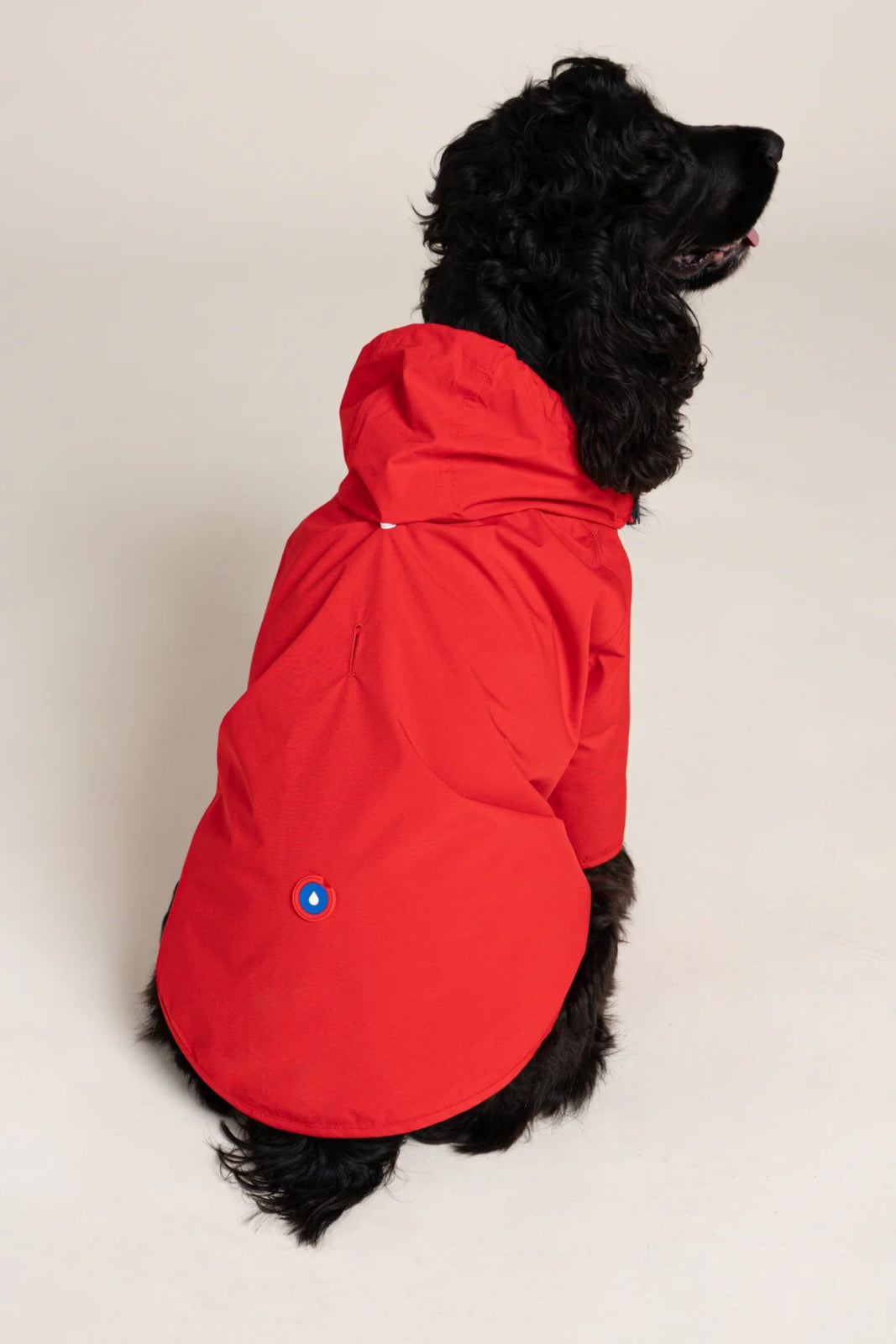 Impermeable Boulogne pour chien -Flotte #couleur_rouge